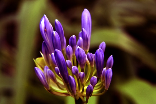 土足协：暂时解除对两名贝西克塔斯球员的停赛令，但案件审理将继续